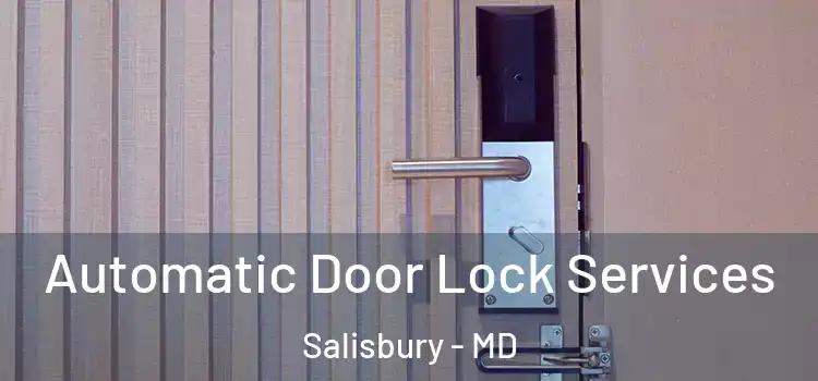 Automatic Door Lock Services Salisbury - MD