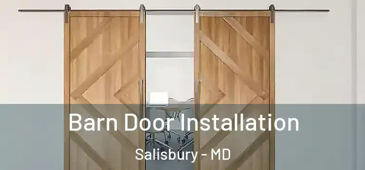 Barn Door Installation Salisbury - MD