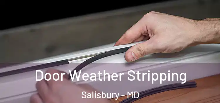 Door Weather Stripping Salisbury - MD