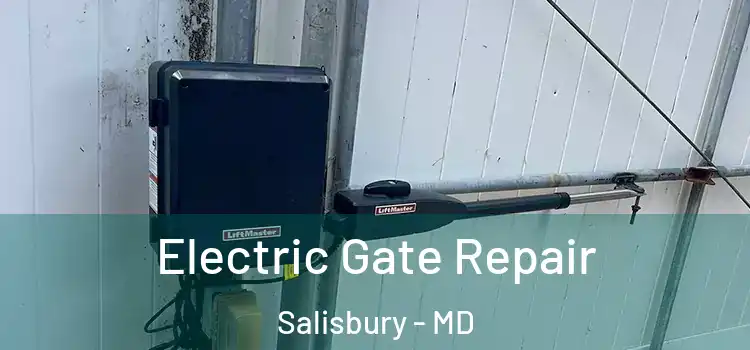 Electric Gate Repair Salisbury - MD