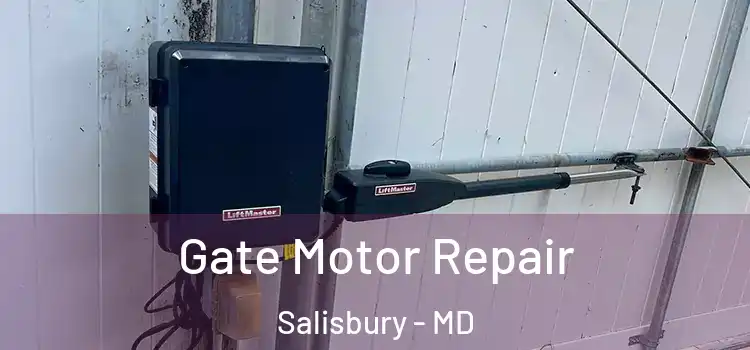 Gate Motor Repair Salisbury - MD