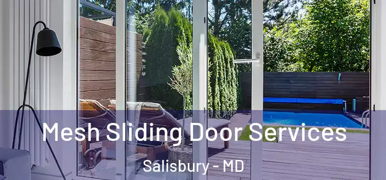 Mesh Sliding Door Services Salisbury - MD