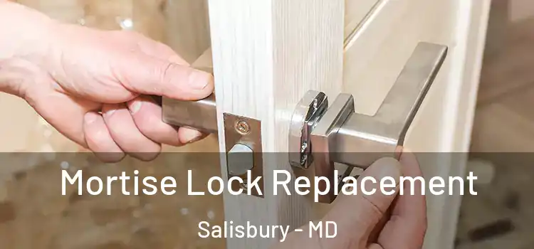 Mortise Lock Replacement Salisbury - MD