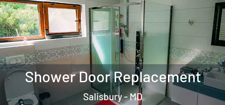 Shower Door Replacement Salisbury - MD