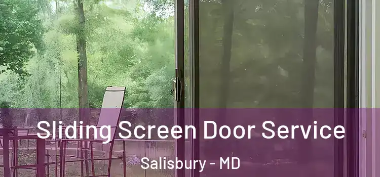 Sliding Screen Door Service Salisbury - MD